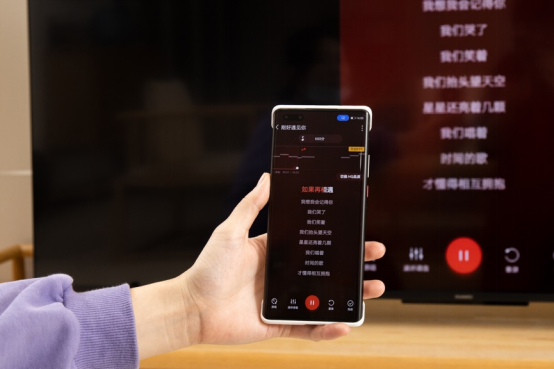 优势k歌：区别与优劣，谁是最强音