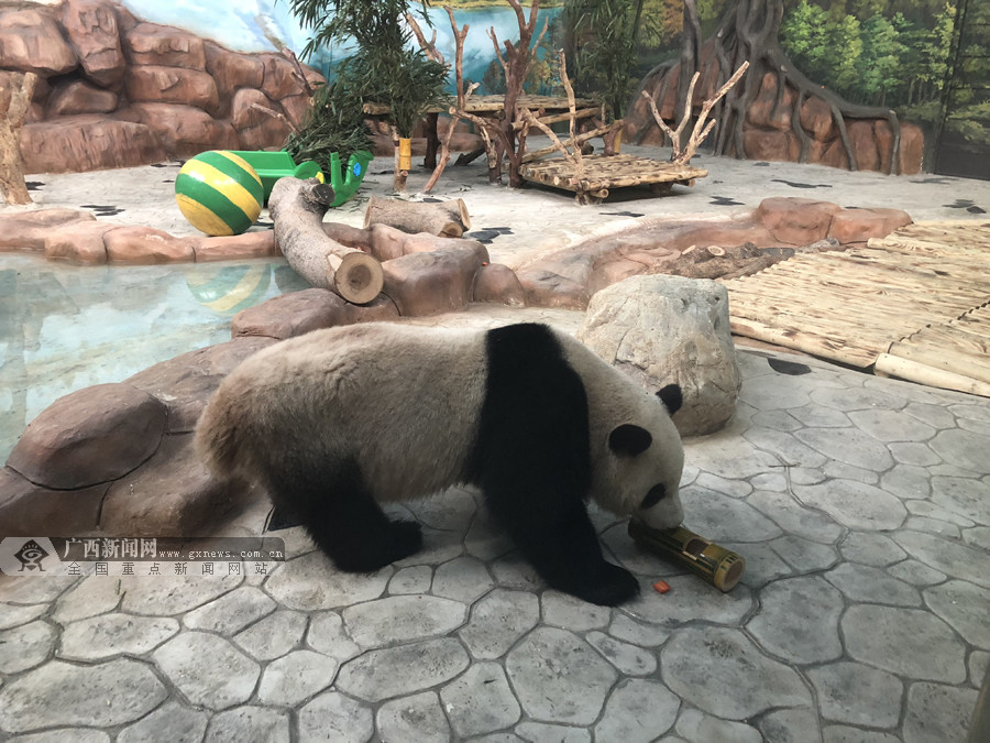 租房附近动物园可以住吗_动物园租房子_动物园附近租房