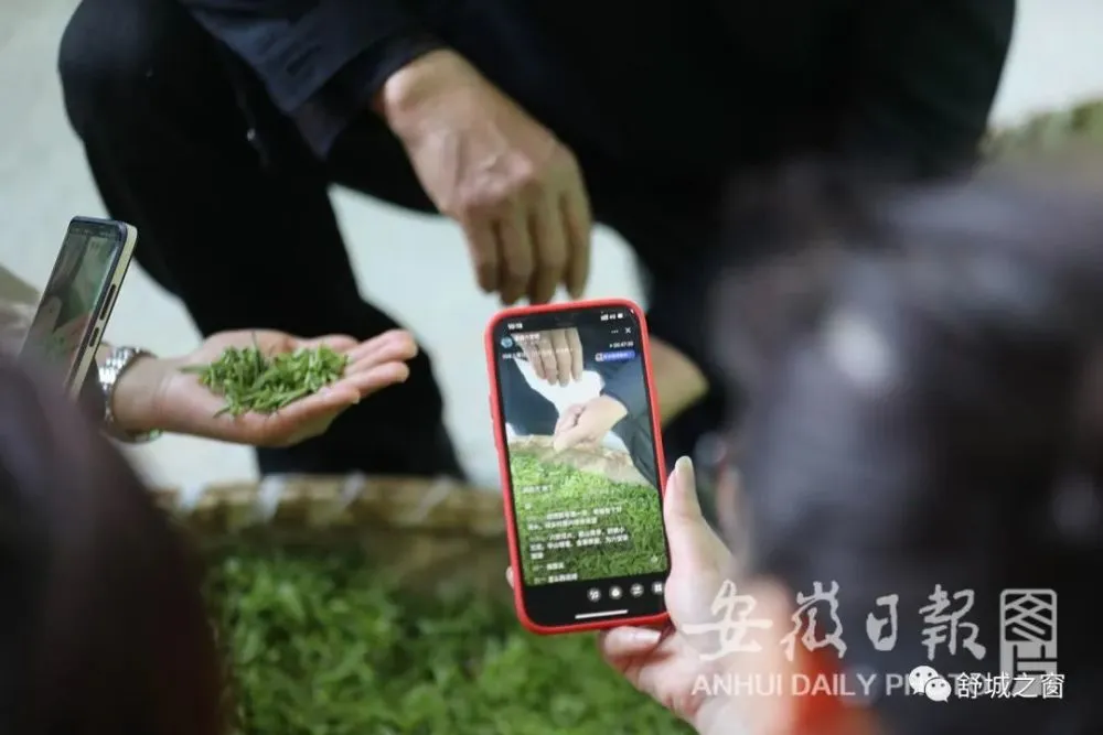 新茶直播app免费下载_新茶直播app免费下载_新茶直播app免费下载