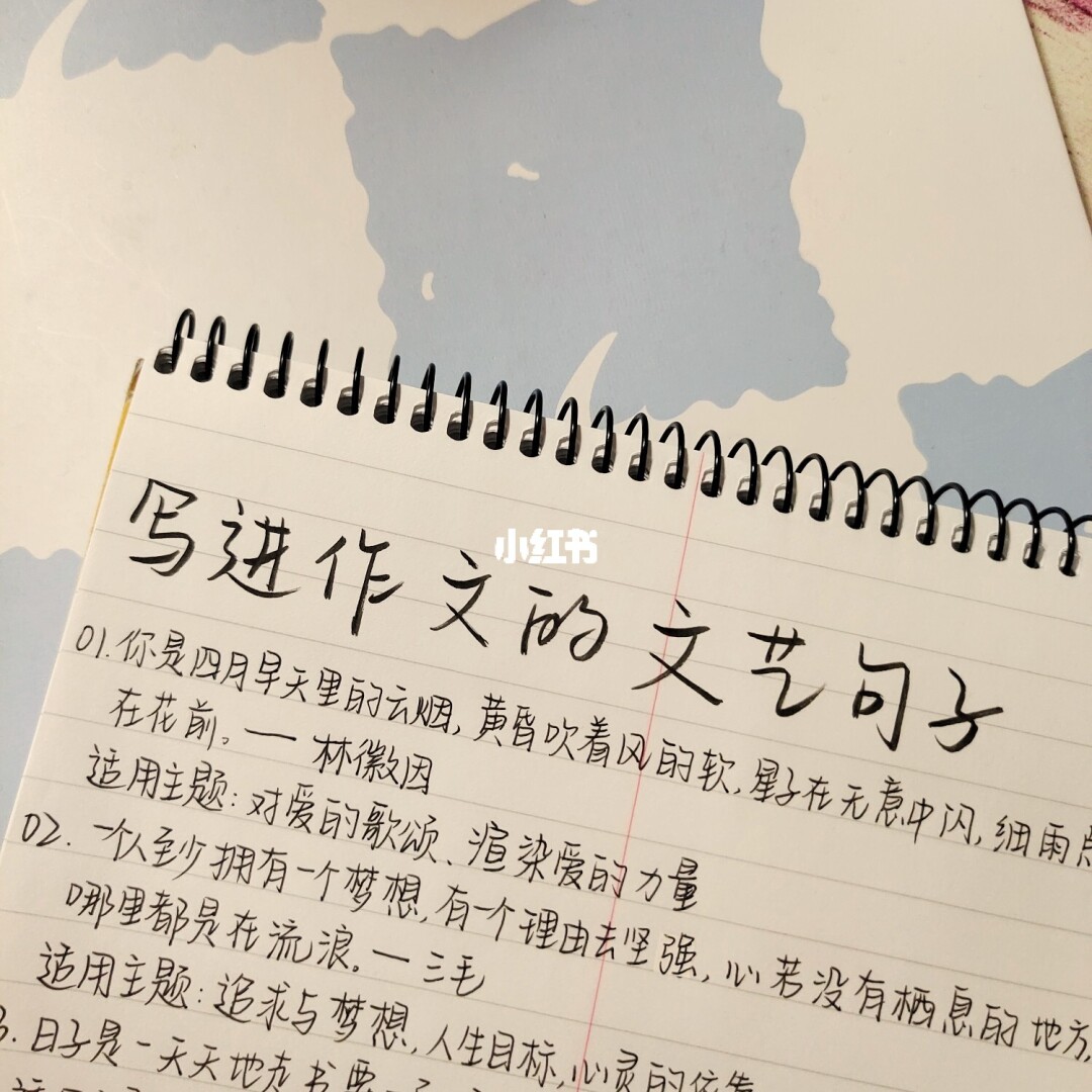 妙看极速版_妙看极速版_妙看极速版