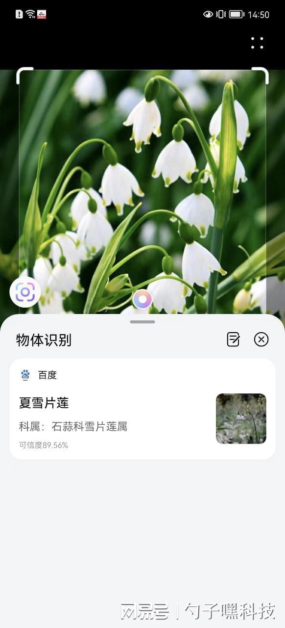 神奇！扫图一秒识物，让你眼前一亮