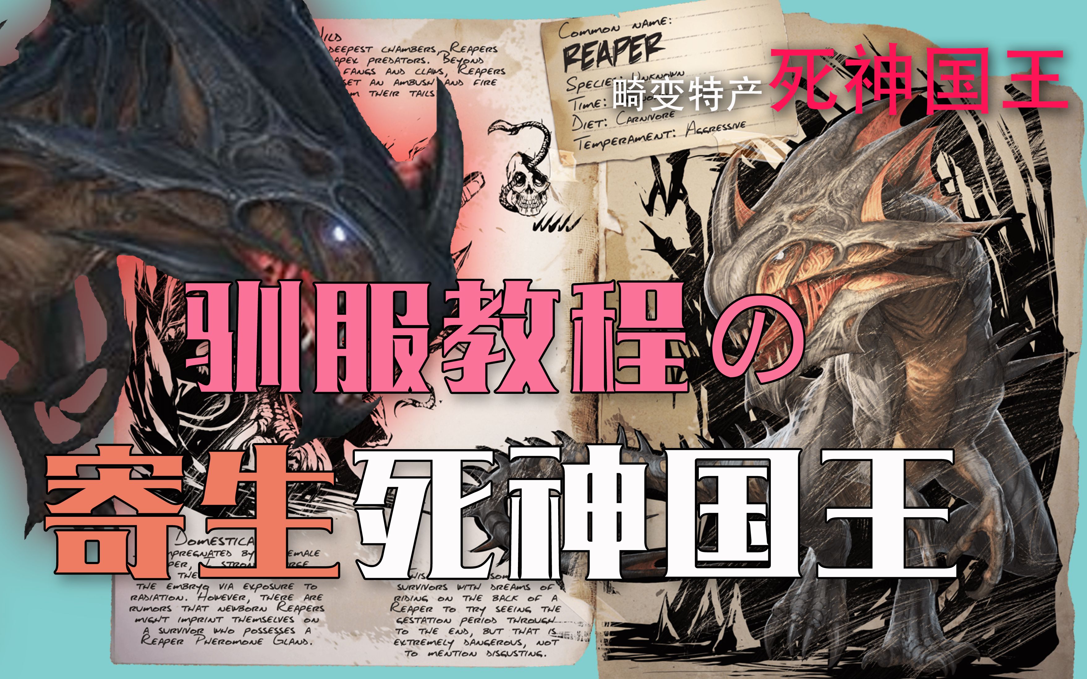 死亡岛1第2季：绝境求生