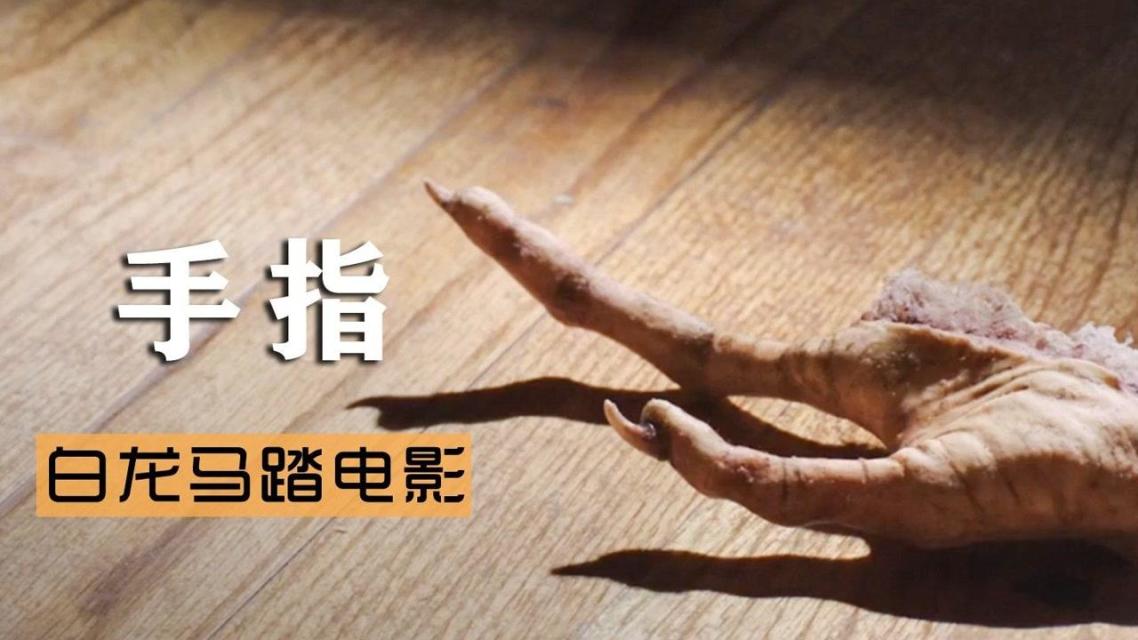 一款集成实用工具和功能的神奇手指app