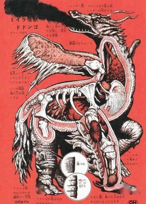 转生成为魔物_转生魔物成为怪物_转生魔物使