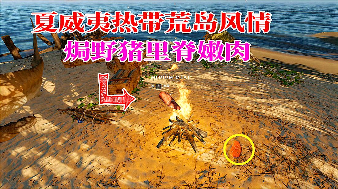 手机生存像游戏-手机生存游戏：体验荒岛求生的压力与孤独，你能