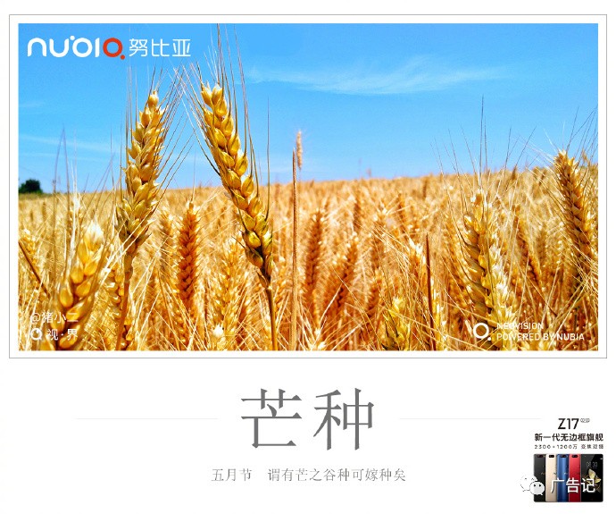 芒种是几月几号2021年_芒种是几月几号_芒种是几月几号到几月几号