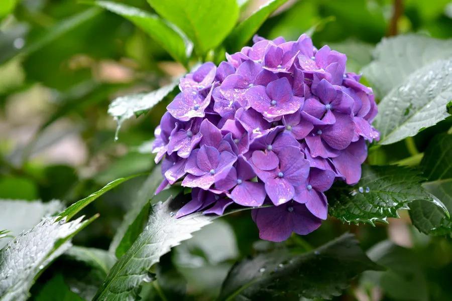苹果手机发烫处理法-苹果手机发烫怎么办？这几个降温小妙招你一