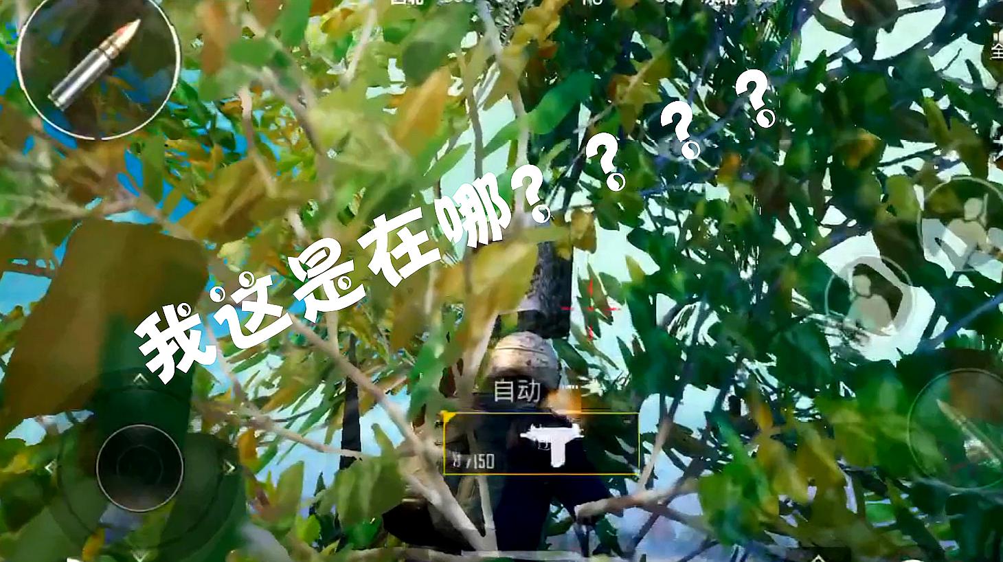 玩鸡吃手机游戏叫什么_玩鸡吃手机游戏有哪些_手机玩游戏怎么玩吃鸡