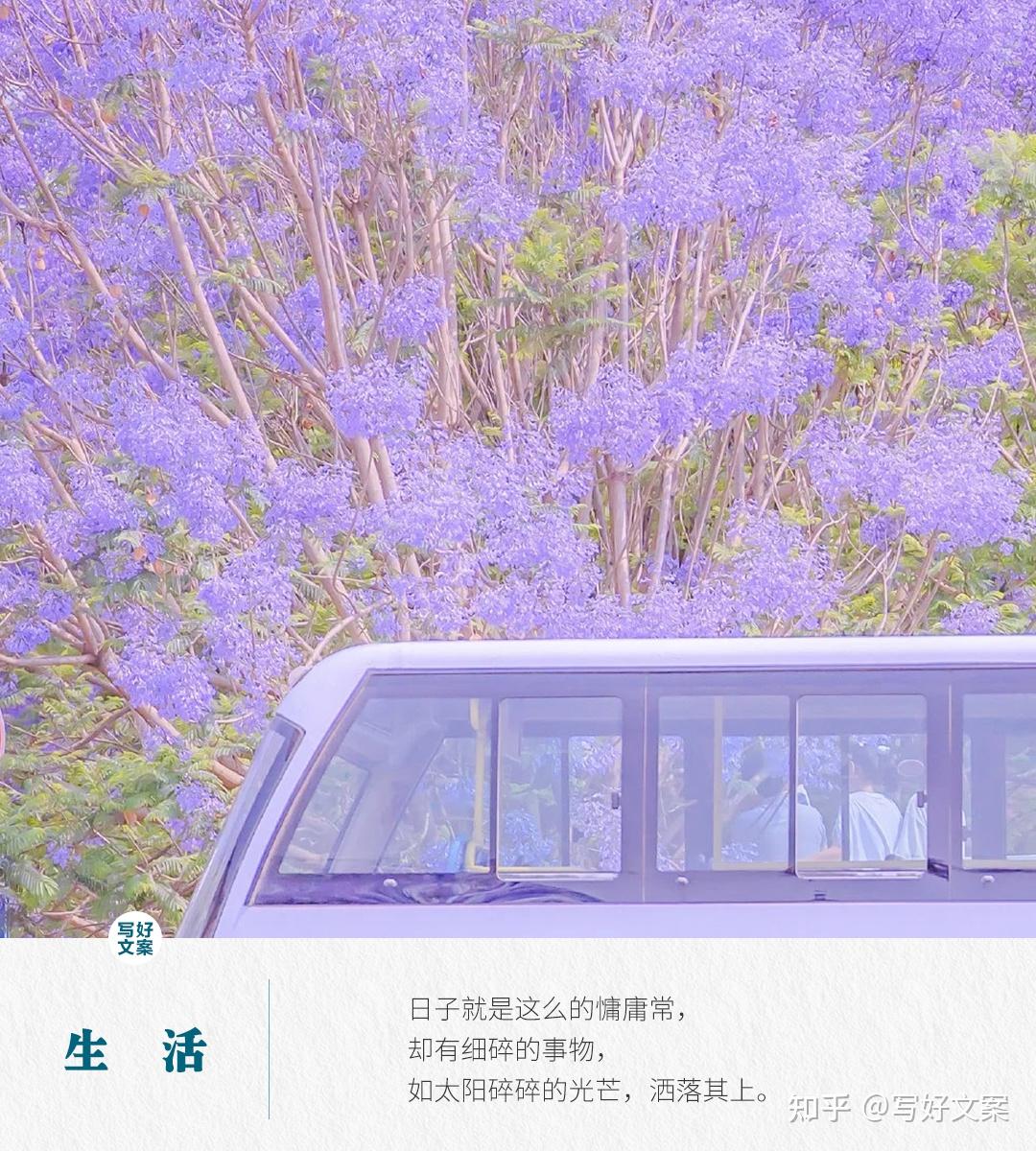 双人玩的治愈游戏_治愈双人手机游戏推荐_治愈双人游戏手机