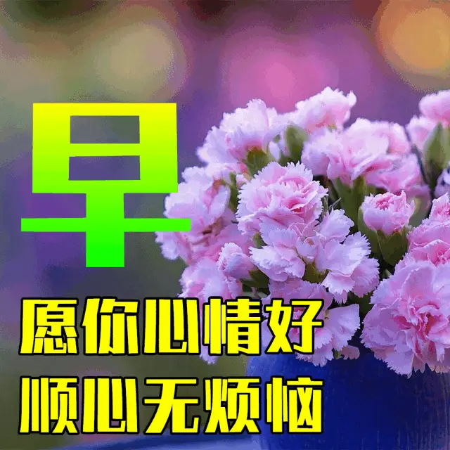 克劳迪亚威尔斯_克劳迪亚_克劳迪亚罗马尼