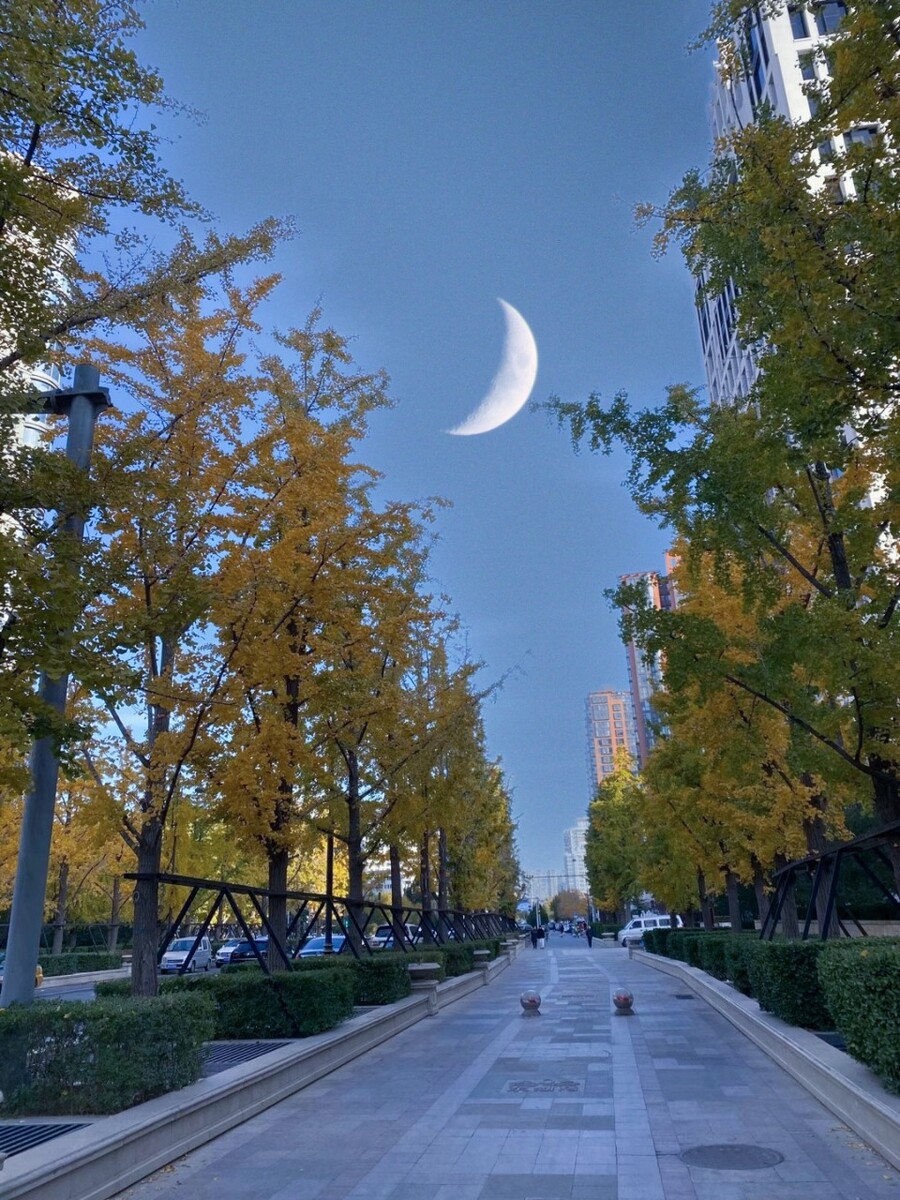 天黑以后_天黑前的夏天_以后天黑也会有人为你点起灯