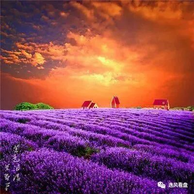 ssss古利特-ssss 古利特：音乐如清流，带你重回充满梦