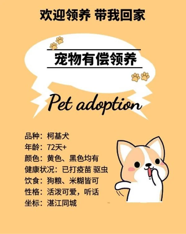 女王柯基动画片_女王的柯基_女王柯基图片