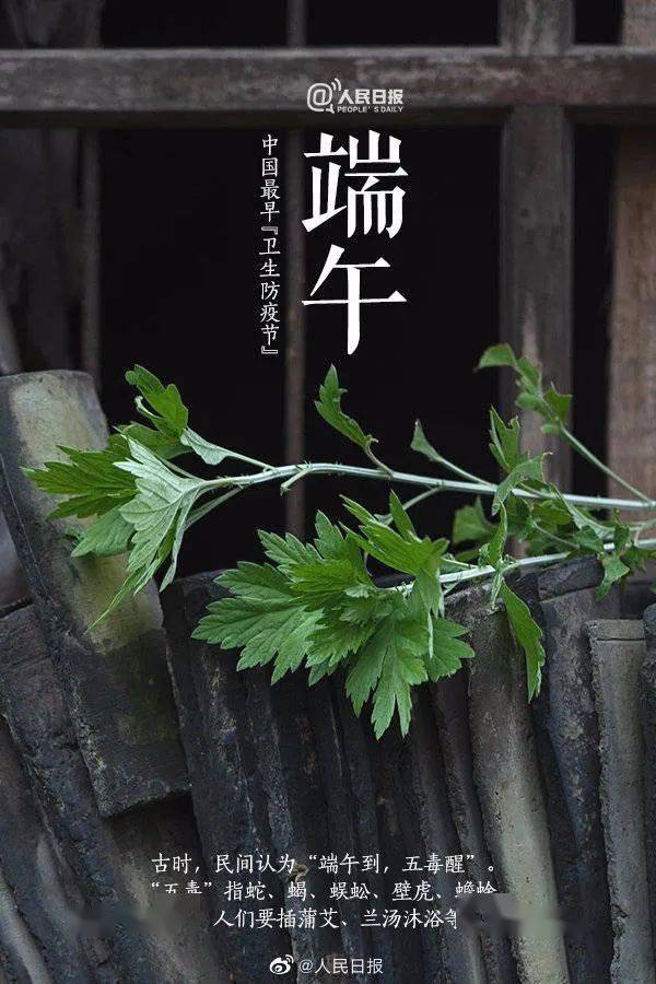 端午节歌谣顺口溜_端午节的歌_端午节歌词