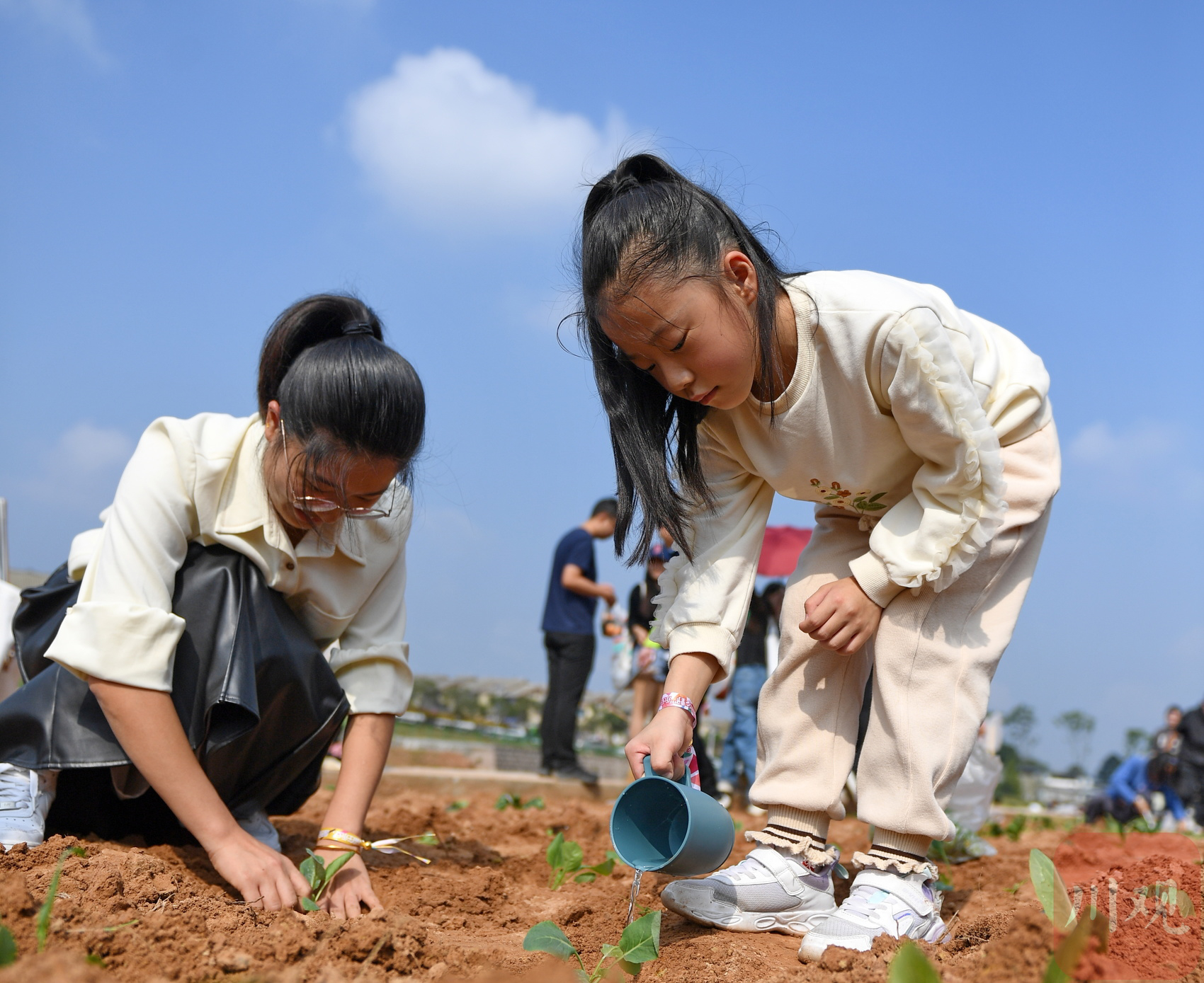 农场app游戏_手机农场游戏直播_农场游戏视频