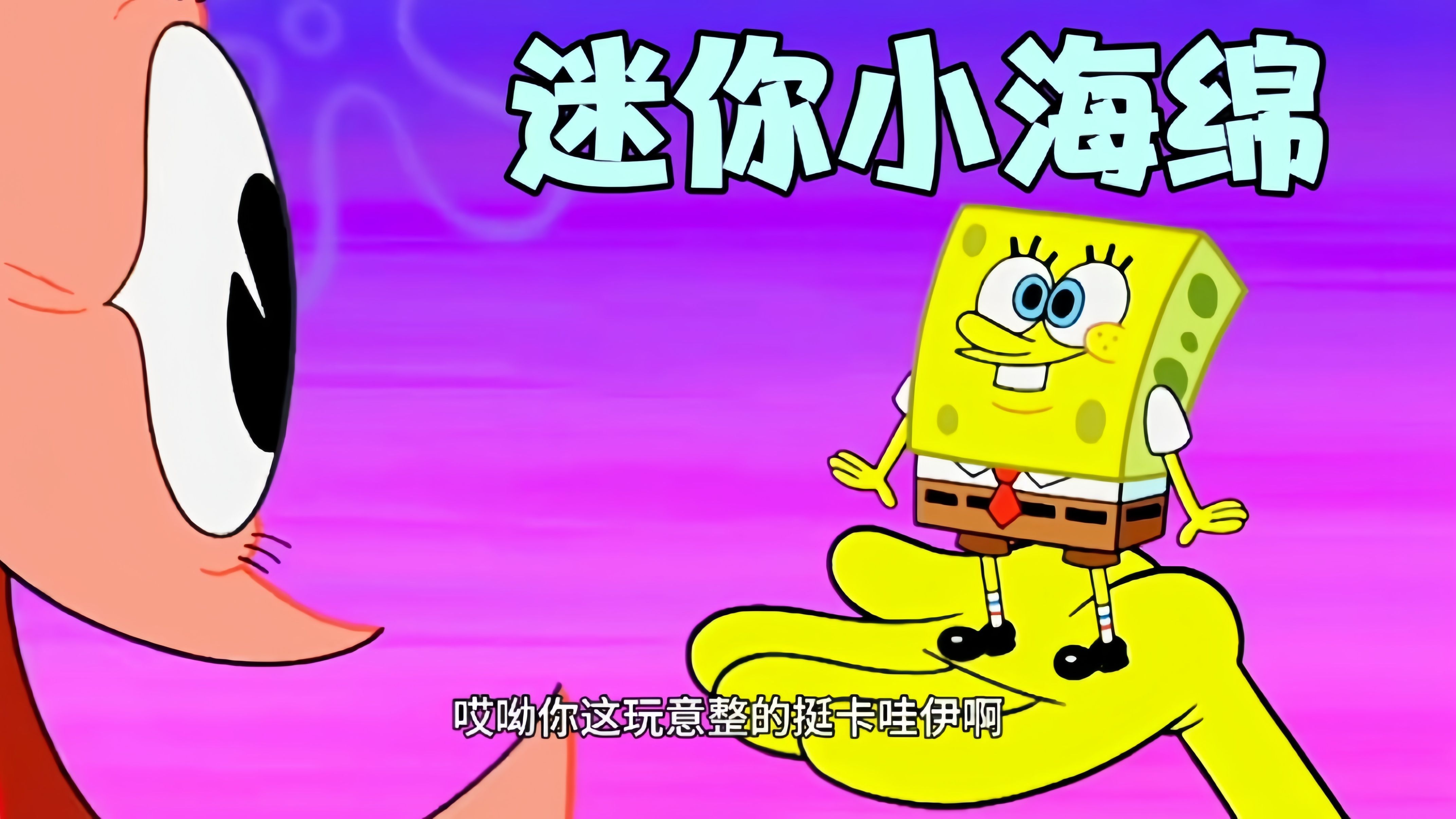 海绵宝宝角色_海绵角色宝宝叫什么_海绵小宝宝解说细思极恐