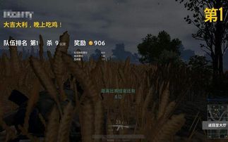 吃鸡游戏运行不了,揭秘解决之道